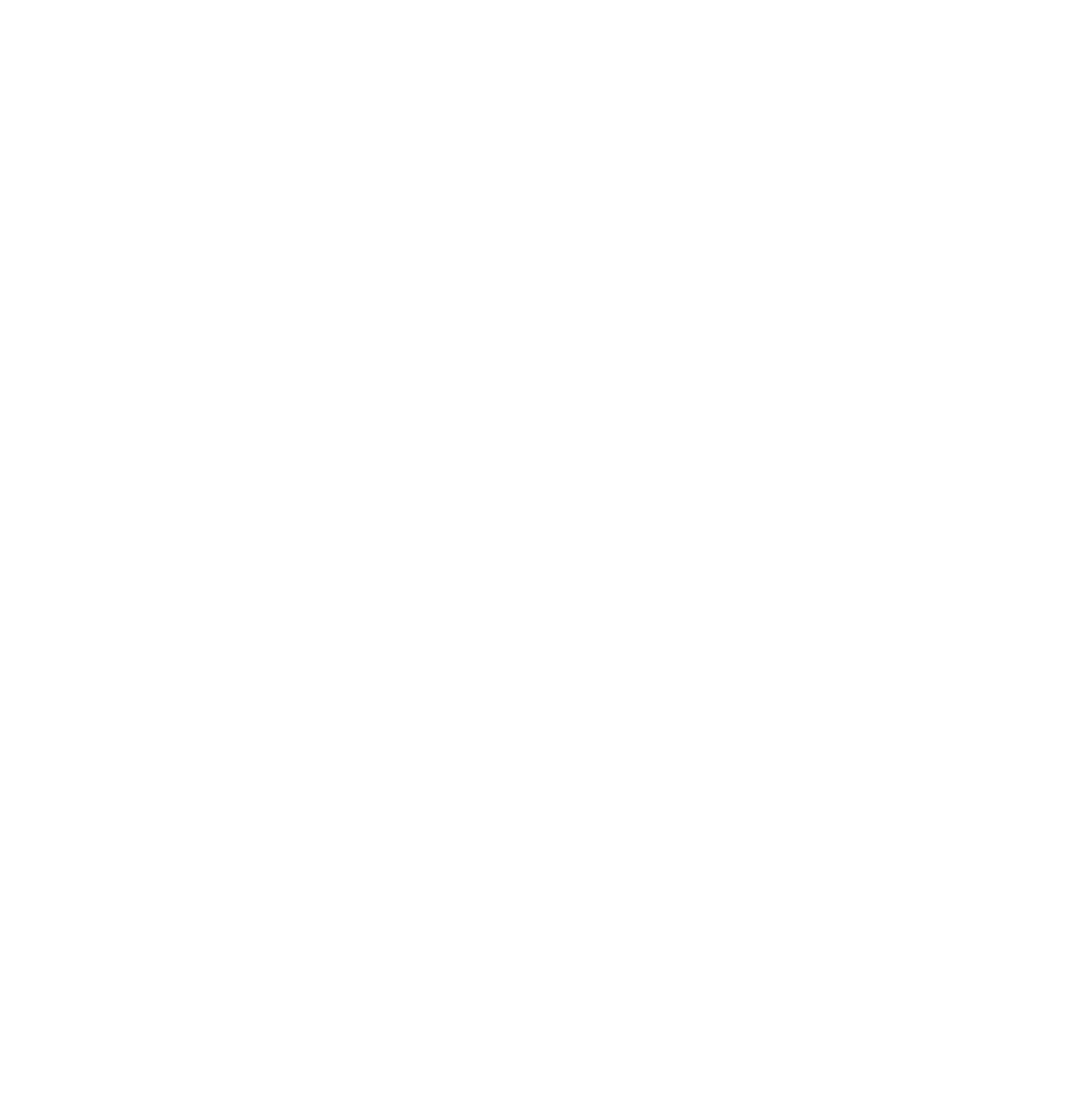 logo blanc OCEAN DREAMS